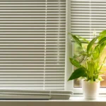 Wood and Aluminum Blinds