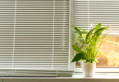 Wood and Aluminum Blinds