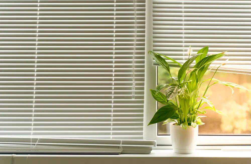 Wood and Aluminum Blinds